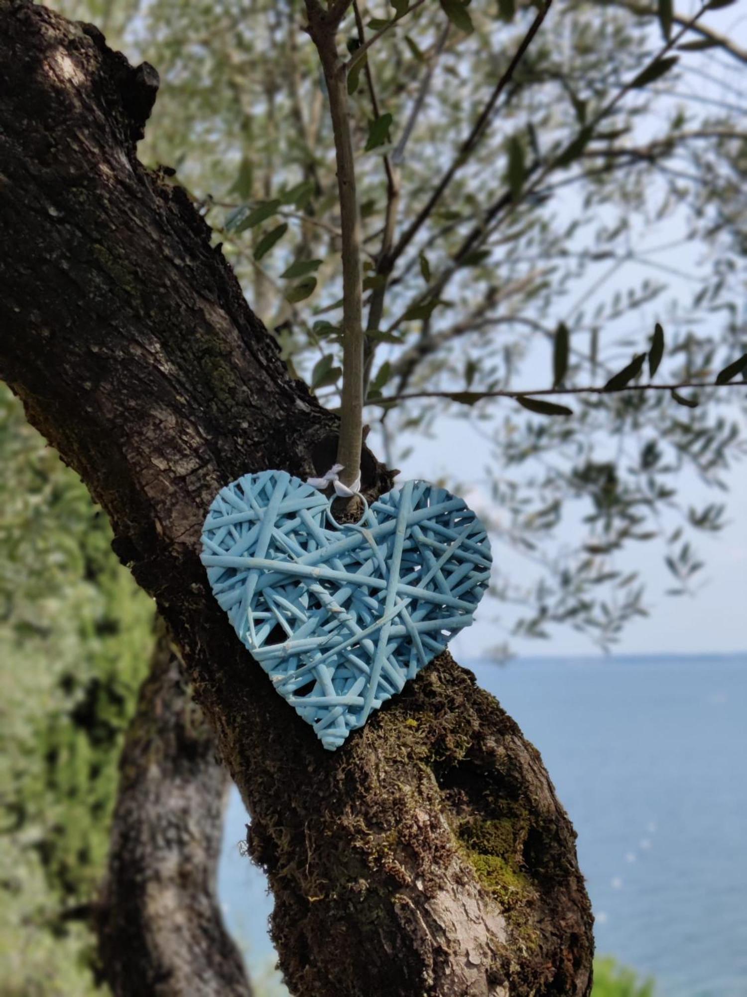 Campeggio Della Colombaia Padenghe sul Garda Eksteriør bilde