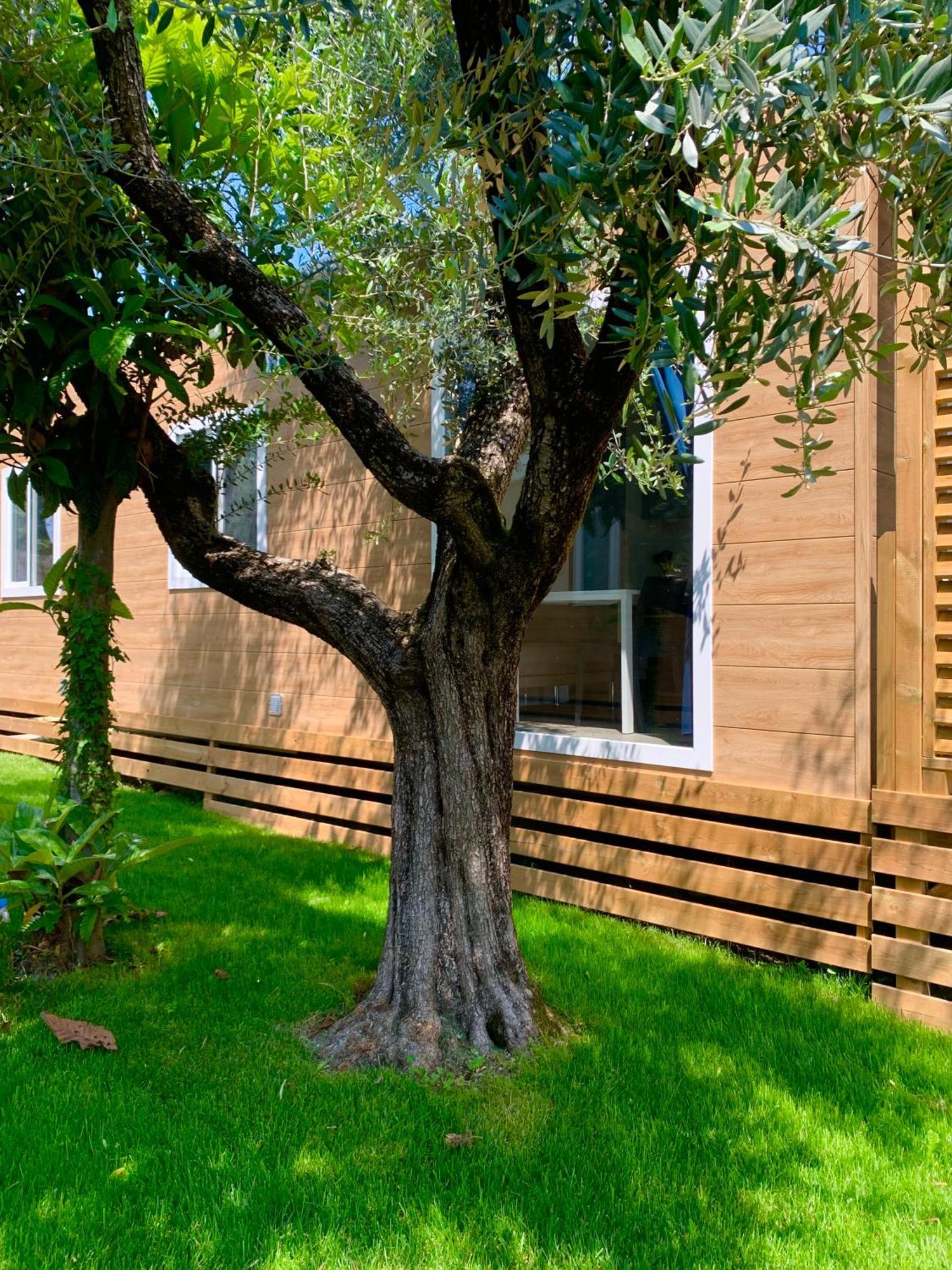 Campeggio Della Colombaia Padenghe sul Garda Eksteriør bilde